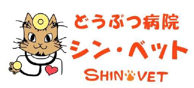 犬猫の眼科診療 | 茨城どうぶつ眼科 | 目やに・白内障・目の異常のご