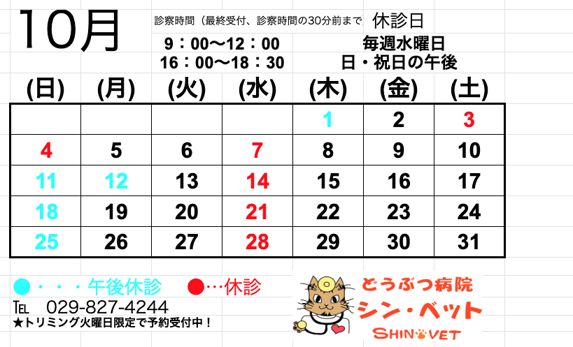 2026.9.25　10月の診察予定について